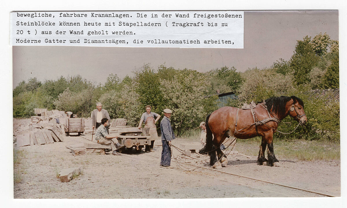 Pferd und Plateauwagen im Steinbruchbetrieb der Bergisch-Märkischen Steinindustrie am Brungerst, um 1955 – Foto: Sammlung Friedel Schmal/Archiv der Gemeinde Lindlar